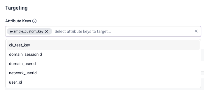 Intervention target configuration showing custom attribute key selection